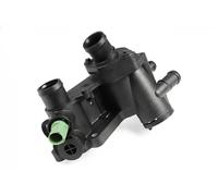Termostato TM1031 HEPU para SEAT VW
