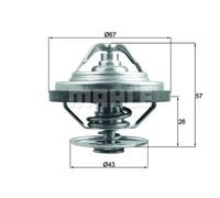 MAHLE TX 158 87 Termostato, refrigerante