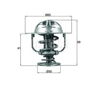 MAHLE Aftermarket Termostato, refrigerante para HYUNDAI: Equus, Santa Fe, Sonata, Genesis, Grandeur, ix55 & TOYOTA: Land Cruiser (Ref: TX 177 82D)