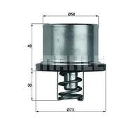 MAHLE Aftermarket Termostato, refrigerante para BMW: Z8, M5 (Ref: TX 37 79)