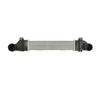 Intercooler THERMOTEC DAM033TT