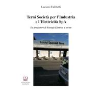 Terni Società per l'Industria e l'Elettricità SpA. Da produttore di energia elettrica a utente (Studi e ricerche locali)