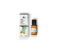 Terpenic Benjui 10 Ml 10 ml
