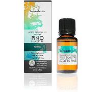 TERPENIC - Aceite Esencial de Pino Silvestre (Pinus sylvestris) - BIO - 10 ml - Uso Oral - Aroma alimentario fresco, verde y forestal