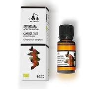 TERPENIC - Aceite Esencial de Ravintsara (Cinnamomum camphora) - BIO - 10 ml - Uso Oral - Equilibrio y frescor natural diario