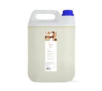 TERPENIC - Aceite Vegetal de Almendra Dulce (Prunus amygdalus dulcis) - 5000 ml - Uso externo - Formato profesional ideal para masaje corporal y cuidado intensivo