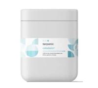 Terpenic Crema Anticelulitica Evo Pro 1000 ml