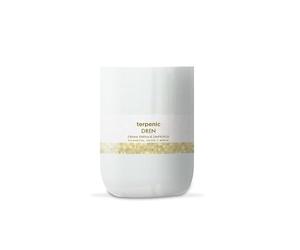 Terpenic evopro Dren crema 1000ml. 1 Unidad 250 g