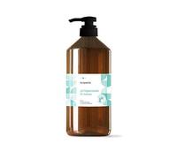 Terpenic Gel Hidroalcohólico Higienizante Aloe 1000 ml
