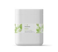 TERPENIC - Gel Livium Sensación Frescor - 1000 ml - Uso Externo - Frescor profesional de larga duración para piernas revitalizadas