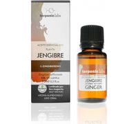 Terpenic Jengibre Bio 30 ml