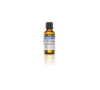 Terpenic Labs Ravensara 30 ml