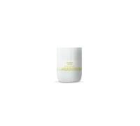 Terpenic Livium Gel Piernas Cansadas Evo Pro 1000 ml