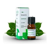 Terpenic Ravintsara Bio 10ml