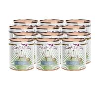 Terra Canis Caballo, Pepino y Fresa - alimento húmedo Sensitive, 12x800 g I alimento Premium para Perros con digestión Delicada I Libre de alérgenos, bajo Contenido de Cereales y fácil de digerir