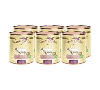 Terra Canis Cordero, calabacín, mijo y eneldo - Comida húmeda clásica, 6x800 g I alimento Premium para Perros 100% Human-Grade de Todos los Ingredientes | sin Gluten