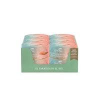 TERRA FELIS Alimento húmedo multiproteínico de salmón y Pollo, 80 g I alimento Premium para Gatos 100% Human-Grade de Todos los Ingredientes I Buena aceptación | sin Cereales