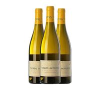 Terra Remota Caminante Empordà Crianza 75 cl Vino blanco (Caja de 3 Botellas de 75 cl)
