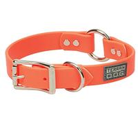 Terrain D.O.G. Brahma Webb Collar de Perro de Caza, 1 x 21 Pulgadas, Naranja Brillante