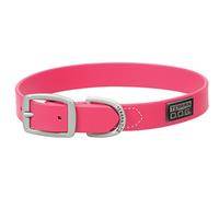 Terrain D.O.G. Brahma Webb - Collar para Perro, 25 x 1 Pulgadas, Color Rosa Intenso (07-3126-HP-25)