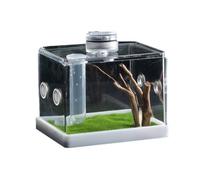 TerrariaPro Jumping Spider Enclosure, Transparent Acrylic, Habitat Tank | Clear - Escape-proof terrarium with cross ventilation holes for small arachnids, mantises, and jumping spiders | Encl