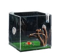 Terrario acrílico para reptiles, contenedor de vidrio transparente, caja de exhibición para mascotas pequeñas, hábitat de visualización transparente de 360 grados, recinto ligero con agujeros de aire