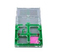 Terrario Castillo de Hormigas, Castillo de Hormigas acrílico, Caja de presentación Multicolor de 17 cm(Grün)