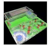 Terrario Castillo de Hormigas, Castillo de Hormigas acrílico DIY con Zona de alimentación y Puertos de expansión, 20 x 17 x 7,5 cm, Multicolor(Grün)