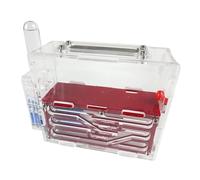 Terrario Castillo de Hormigas, Castillo de Hormigas acrílico, Granja de Hormigas, observación científica, Nido de Hormigas, 15 cm, Multicolor(Rosso)