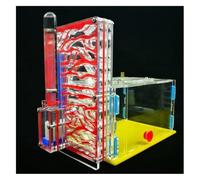 Terrario Castillo de Hormigas, Castillo de Hormigas acrílico, Kit científico for Bricolaje for observación de hábitat, Multicolor, 19 cm(Rosso)