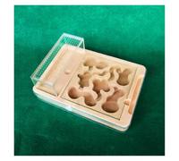 Terrario Castillo de Hormigas, Hormiguero a Prueba de Escapes con Carcasa de PP Transparente y núcleo de Pasta, 23,5 x 17 x 3,7 cm (9,2 x 6,6 x 1,4 Pulgadas)