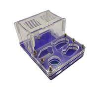 Terrario Castillo de Hormigas, Hormiguero de acrílico Transparente con Piscina hidratante y Zona de Actividades, Color Azul, 7,3 x 9,8 x 11,2 cm