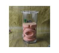 Terrario Castillo de Hormigas, Kit de observación de Granja de Hormigas, Multicolor, 13 x 6,7 cm, acrílico Transparente, Experimento científico(Pink)