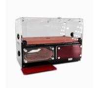 Terrario Castillo de Hormigas, Nido de Hormigas de Yeso Compuesto y acrílico Transparente for observación y retención de Humedad, 35 x 19 x 23 cm