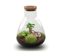 Terrario Cristal DIY con Corcho LED, Regalo Día de la Madre, Ø 24.5x30 cm