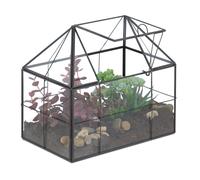 Terrario cristal Terrario Terrarium Terrario geométrico Terrario forma casa