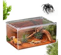 Terrario de acrílico para arañas de salto, terrario acrílico para reptiles