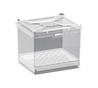 Terrario de araña, caja de alimentación, soporte ventilado para proyectos de ciencia, al aire libre, camping, viajes, exhibiciones educativas, sala de estar, apartamento