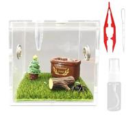 Terrario de araña saltarina, caja de tarántula, terrario acrílico para reptiles pequeños cangrejo ermitaño, caracol, tarántula, insectos, estilo 2