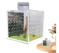 Terrario de araña saltarina, recinto de araña saltadora, Tanque de Tortuga Transparente, Pequeño hábitat de Mantis Religiosa, de alimentación de terrario de Caracol con humidificador Ligero para