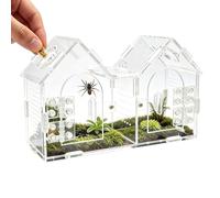 Terrario de Araña Saltarina Recipiente Transparente para Reptiles