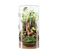 Terrario de araña, salto de hábitat de araña | Terrario de reptiles ventilado acrílico | Recinto de reptiles impermeables con puerta de apertura delantera para tarántula, ranas, mantis de oración, car