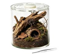 Terrario De Arañas 10,16x10,16x10,16 cm Pequeño Acrílico Transparente con | Recinto terrario para caracoles Para Tarántulas, Cangrejos Ermitaños, Mantis Religiosas, Anfibios y