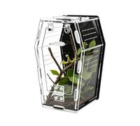 Terrario De Caracoles - Terrario Respirable Acrílico Transparente | Cubierta Antifugas Para Anfibios, Tanque Gecko Con | Para Mascota, , Tortuga, Rinoceronte