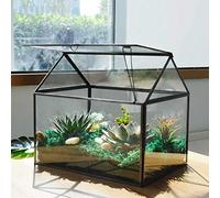 Terrario de Cristal Grande con Labio, Color Negro