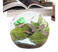 Terrario de planta de vidrio, de vidrio de vidrio trueque de macetas de flores -flor - Perfecto decoración interior Pantalla para el hogar tarro de terrario, bañera de plantas de aire de