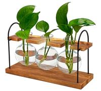 Terrario de plantas con soporte de madera, el mejor regalo para los amantes de las plantas, estación de propagación con bombillas de vidrio retro, creando una impresionante exhibición de vegetación