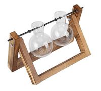 Terrario de Plantas con Soporte de Madera, Soporte, Macetero de Aire de Escritorio, Florero de Vidrio, Terrarios de Escritorio, Bombilla para Plantas de Agua Hidropónicas de