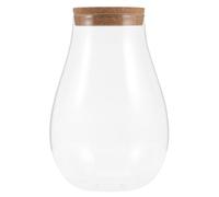 Terrario de Plantas Hidropónicas DIY en Botella de Vidrio