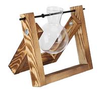 Terrario de Plantas Vintage con Soporte de Madera, Decoración de Escritorio de Jarrón de Vidrio, Macetero de Vidrio con Forma de Bombilla para Exhibición en el Hogar y la